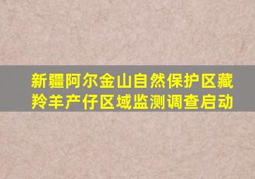 新疆阿尔金山自然保护区藏羚羊产仔区域监测调查启动