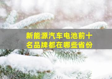 新能源汽车电池前十名品牌都在哪些省份