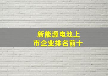 新能源电池上市企业排名前十