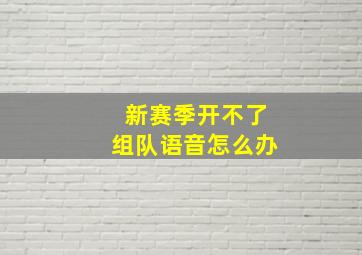 新赛季开不了组队语音怎么办