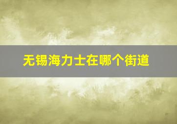 无锡海力士在哪个街道