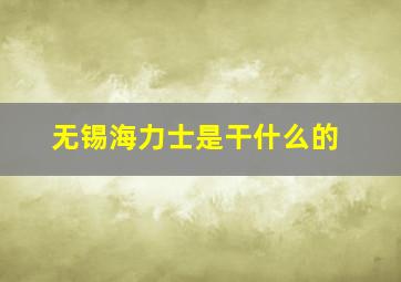 无锡海力士是干什么的