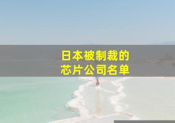 日本被制裁的芯片公司名单