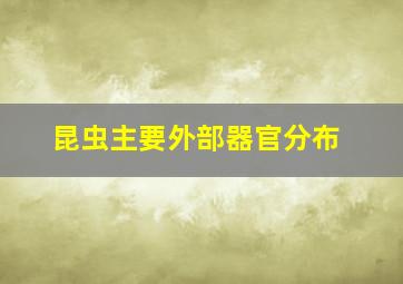 昆虫主要外部器官分布