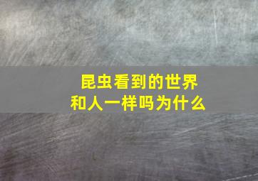 昆虫看到的世界和人一样吗为什么