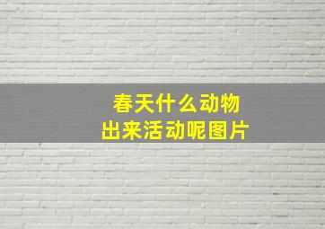 春天什么动物出来活动呢图片