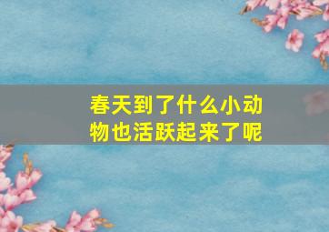 春天到了什么小动物也活跃起来了呢