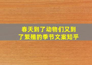 春天到了动物们又到了繁殖的季节文案知乎