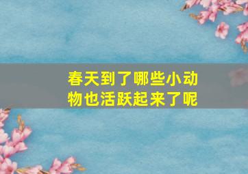 春天到了哪些小动物也活跃起来了呢