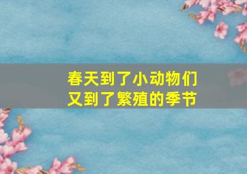 春天到了小动物们又到了繁殖的季节