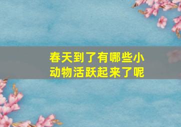 春天到了有哪些小动物活跃起来了呢