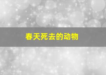 春天死去的动物