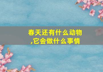 春天还有什么动物,它会做什么事情