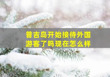 普吉岛开始接待外国游客了吗现在怎么样