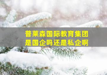 普莱森国际教育集团是国企吗还是私企啊