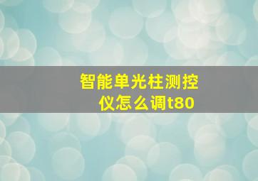 智能单光柱测控仪怎么调t80