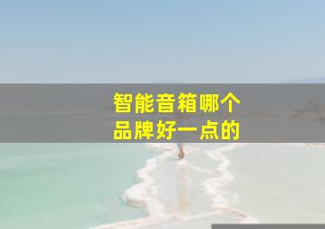 智能音箱哪个品牌好一点的