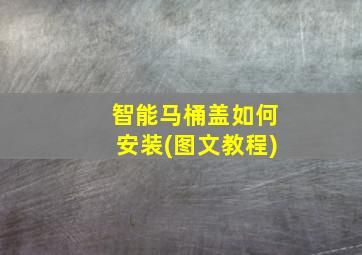 智能马桶盖如何安装(图文教程)