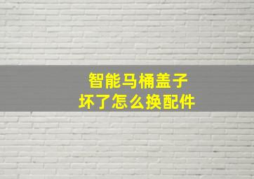 智能马桶盖子坏了怎么换配件