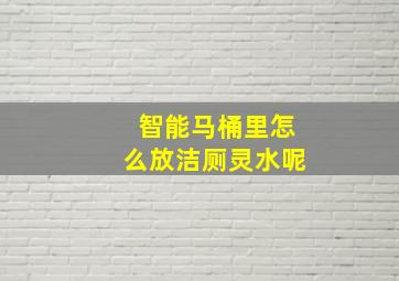 智能马桶里怎么放洁厕灵水呢