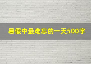 暑假中最难忘的一天500字