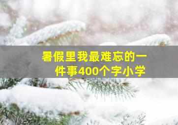 暑假里我最难忘的一件事400个字小学