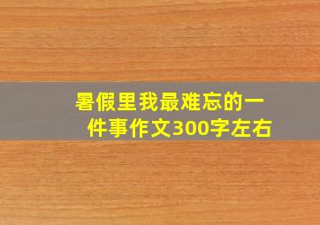 暑假里我最难忘的一件事作文300字左右