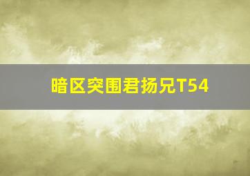 暗区突围君扬兄T54