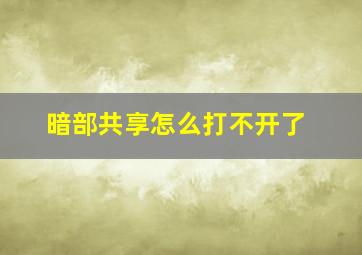 暗部共享怎么打不开了