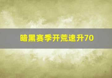 暗黑赛季开荒速升70