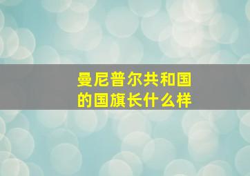 曼尼普尔共和国的国旗长什么样