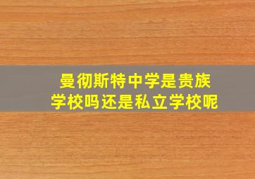 曼彻斯特中学是贵族学校吗还是私立学校呢