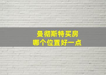 曼彻斯特买房哪个位置好一点