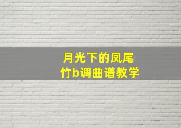 月光下的凤尾竹b调曲谱教学