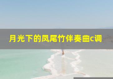 月光下的凤尾竹伴奏曲c调