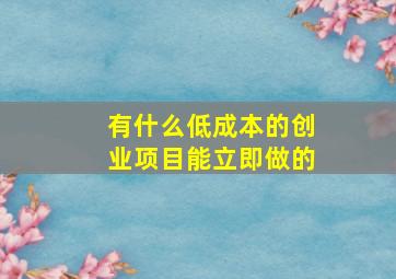 有什么低成本的创业项目能立即做的