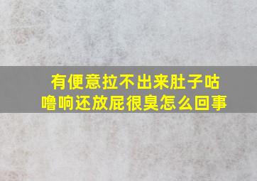 有便意拉不出来肚子咕噜响还放屁很臭怎么回事