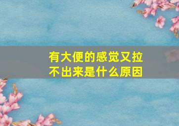 有大便的感觉又拉不出来是什么原因