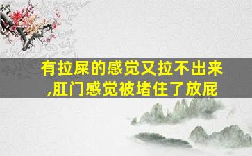 有拉屎的感觉又拉不出来,肛门感觉被堵住了放屁