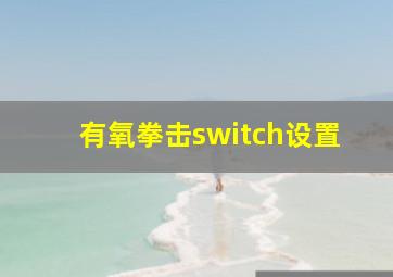 有氧拳击switch设置