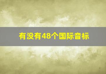 有没有48个国际音标