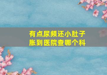 有点尿频还小肚子胀到医院查哪个科