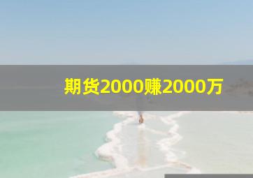 期货2000赚2000万