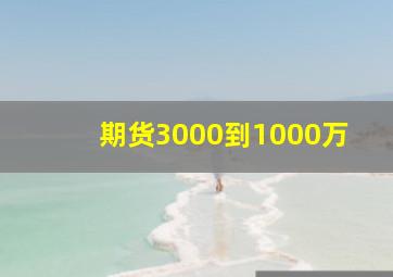 期货3000到1000万