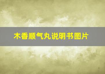 木香顺气丸说明书图片