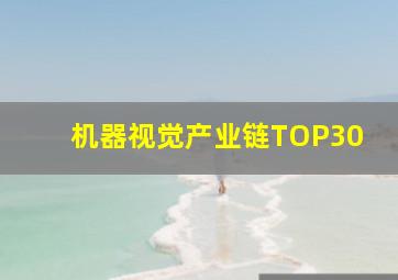 机器视觉产业链TOP30