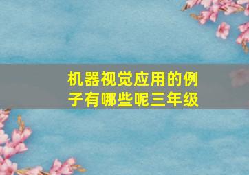 机器视觉应用的例子有哪些呢三年级