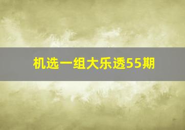 机选一组大乐透55期