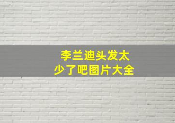 李兰迪头发太少了吧图片大全