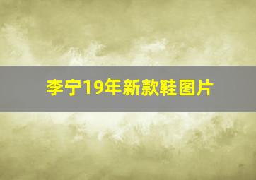 李宁19年新款鞋图片